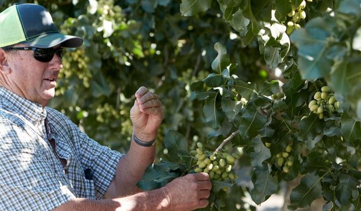 Brian Watte - Agriculturalist of the Year