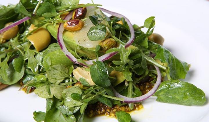 Market Rucola & Wild Cress Salad with Pistachio Aillade 